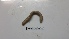  ( - NMSA_OLIG_06422)  @13 [ ] Unspecified (default): All Rights Reserved  Unspecified Unspecified