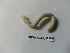  ( - NMSA_OLIG_06592)  @13 [ ] Unspecified (default): All Rights Reserved  Unspecified Unspecified