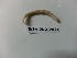  ( - NMSA_OLIG_06593)  @13 [ ] Unspecified (default): All Rights Reserved  Unspecified Unspecified