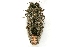  ( - PL0476A)  @11 [ ] Copyright (2009) Peter J. Lang 2009 Unspecified