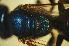  ( - MSAPB_AFQ003)  @11 [ ] CreativeCommons - Attribution Non-Commercial Share-Alike (2011) Scott Groom Flinders University