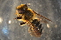  ( - BAA004)  @13 [ ] CreativeCommons - Attribution Non-Commercial Share-Alike (2012) Scott Groom Flinders University