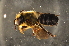  ( - BAB009)  @13 [ ] CreativeCommons - Attribution Non-Commercial Share-Alike (2012) Scott Groom Flinders University