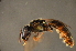  ( - BAK003)  @13 [ ] CreativeCommons - Attribution Non-Commercial Share-Alike (2012) Scott Groom Flinders University