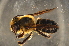  ( - BAN001)  @13 [ ] CreativeCommons - Attribution Non-Commercial Share-Alike (2012) Scott Groom Flinders University
