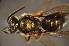  ( - BAS003)  @12 [ ] CreativeCommons - Attribution Non-Commercial Share-Alike (2012) Scott Groom Flinders University