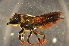  ( - BAS008)  @13 [ ] CreativeCommons - Attribution Non-Commercial Share-Alike (2012) Scott Groom Flinders University