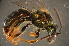 ( - BAY012)  @13 [ ] CreativeCommons - Attribution Non-Commercial Share-Alike (2012) Scott Groom Flinders University