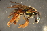  ( - BBA011)  @13 [ ] CreativeCommons - Attribution Non-Commercial Share-Alike (2012) Scott Groom Flinders University