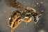  ( - BBL012)  @14 [ ] CreativeCommons - Attribution Non-Commercial Share-Alike (2012) Scott Groom Flinders University