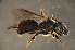  ( - BBM003)  @14 [ ] CreativeCommons - Attribution Non-Commercial Share-Alike (2012) Scott Groom Flinders University