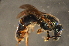  ( - BBM005)  @14 [ ] CreativeCommons - Attribution Non-Commercial Share-Alike (2012) Scott Groom Flinders University
