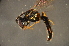  ( - BBO009)  @14 [ ] CreativeCommons - Attribution Non-Commercial Share-Alike (2012) Scott Groom Flinders University
