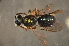  ( - BBW019)  @13 [ ] CreativeCommons - Attribution Non-Commercial Share-Alike (2012) Scott Groom Flinders University