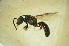  ( - MSAPB_FAA005)  @11 [ ] CreativeCommons - Attribution Non-Commercial Share-Alike (2012) Scott Groom Flinders University