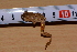  ( - BNR viii)  @11 [ ] CreativeCommons - Attribution Share-Alike (2019) Unspecified University of KwaZulu-Natal