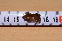  ( - BNR VI)  @11 [ ] CreativeCommons - Attribution Share-Alike (2019) Unspecified University of KwaZulu-Natal