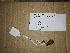  ( - BNR viii)  @11 [ ] CreativeCommons - Attribution Share-Alike (2019) Unspecified University of KwaZulu-Natal