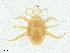  ( - BIOUG27037-F02)  @11 [ ] CreativeCommons - Attribution Share - Alike (2025) CBG Photography Group Centre for Biodiversity Genomics
