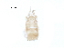  ( - BIOUG30428-D06)  @11 [ ] CreativeCommons - Attribution (2016) CBG Photography Group Centre for Biodiversity Genomics