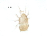  ( - BIOUG30843-D10)  @11 [ ] CreativeCommons - Attribution (2017) CBG Photography Group Centre for Biodiversity Genomics