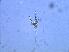  ( - cerat_grand_4 7/11/2006)  @13 [ ] Unspecified (default): All Rights Reserved  Unspecified Unspecified