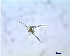  ( - UT72_16/07/2008)  @14 [ ] Unspecified (default): All Rights Reserved  Unspecified Unspecified