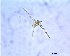  ( - UT91_03/08/2008)  @13 [ ] Unspecified (default): All Rights Reserved  Unspecified Unspecified