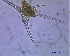  ( - UT92_03/08/2008)  @12 [ ] Unspecified (default): All Rights Reserved  Unspecified Unspecified