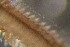  ( - DBUA0002339.03)  @11 [ ] CreativeCommons - Attribution Non-Commercial Share-Alike (2019) Marcos Teixeira University of Minho