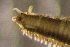  ( - DBUA0002332.01)  @11 [ ] CreativeCommons - Attribution Non-Commercial Share-Alike (2019) Marcos Teixeira University of Minho