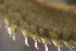  ( - DBUA0002332.01)  @11 [ ] CreativeCommons - Attribution Non-Commercial Share-Alike (2019) Marcos Teixeira University of Minho