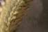  ( - DBUA0002332.01)  @11 [ ] CreativeCommons - Attribution Non-Commercial Share-Alike (2019) Marcos Teixeira University of Minho