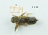  ( - MT59_Otri_2018_1)  @11 [ ] CreativeCommons - Attribution Share-Alike (2019) Unspecified University of Lodz, Faculty of Biology and Environmental Protection