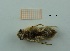  ( - MT18_Ocan_2018_1)  @11 [ ] CreativeCommons - Attribution Share-Alike (2019) Unspecified University of Lodz, Faculty of Biology and Environmental Protection