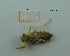  ( - MT18_Ocan_2018_3)  @11 [ ] CreativeCommons - Attribution Share-Alike (2019) Unspecified University of Lodz, Faculty of Biology and Environmental Protection