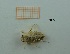  ( - MT18_Ocan_2018_4)  @11 [ ] CreativeCommons - Attribution Share-Alike (2019) Unspecified University of Lodz, Faculty of Biology and Environmental Protection