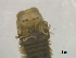  ( - MTCM40)  @11 [ ] CreativeCommons - Attribution Share-Alike (2022) Unspecified University of Minho, Centre of Molecular and Environmental Biology