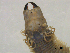  ( - MTCT3.2)  @11 [ ] CreativeCommons - Attribution Share-Alike (2024) Unspecified University of Minho