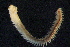  ( - DBUA0002448.01.v03)  @11 [ ] CreativeCommons - Attribution Share-Alike (2022) Unspecified Universidade do Minho, Centre of Molecular and Environmental Biology