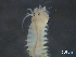 ( - DBUA0002448.01.v05)  @11 [ ] CreativeCommons - Attribution Share-Alike (2022) Unspecified Universidade do Minho, Centre of Molecular and Environmental Biology