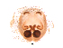  ( - UOS-MTSPD-0106)  @11 [ ] CreativeCommons - Attribution (2016) G. Blagoev Centre for Biodiversity Genomics