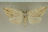  ( - MJP00087)  @11 [ ] CreativeCommons - Attribution Non-Commercial (2018) Marko Mutanen University of Oulu