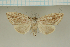  ( - MJP00088)  @11 [ ] CreativeCommons - Attribution Non-Commercial (2018) Marko Mutanen University of Oulu
