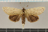  ( - NM007.1)  @11 [ ] CreativeCommons - Attribution Non-Commercial (2018) Marko Mutanen University of Oulu