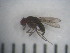  ( - IEGEBA-EVO-0422)  @11 [ ] Copyright (2016) Alejandro Saint Esteven Facultad de Ciencias Exactas y Naturales - Universidad de Buenos Aires