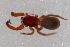  ( - LNP-04350)  @11 [ ] CreativeCommons - Attribution Non-Commercial Share-Alike (2015) Unspecified Museo Argentino de Ciencias Naturales