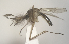  ( - MVAMX19AR110)  @11 [ ] CreativeCommons  Attribution Non-Commercial Share-Alike (2019) Unspecified Laboratorio de Ecología de Enfermedades y Una Salud