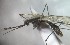  ( - MVAMX19CL148)  @12 [ ] CreativeCommons  Attribution Non-Commercial Share-Alike (2019) Unspecified Laboratorio de Ecología de Enfermedades y Una Salud