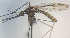  ( - MVAMX19CL37)  @12 [ ] CreativeCommons  Attribution Non-Commercial Share-Alike (2019) Unspecified Laboratorio de Ecología de Enfermedades y Una Salud